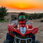 Gallery Thumbnail 0